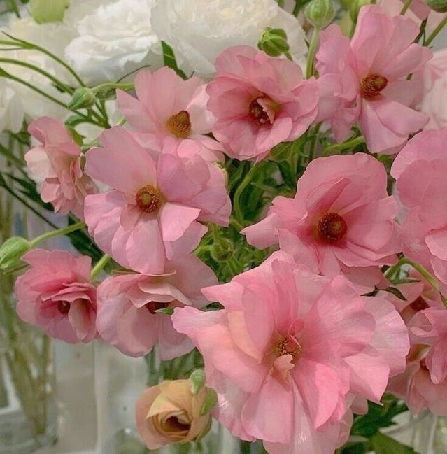 Tử vi 12 con giáp ngày 12/3/2024: Tuổi Mão thông minh, tuổi Thìn may mắn Tử vi 12 con giáp ngày 12/3/2024: Tuổi Mão thông minh, tuổi Thìn may mắn