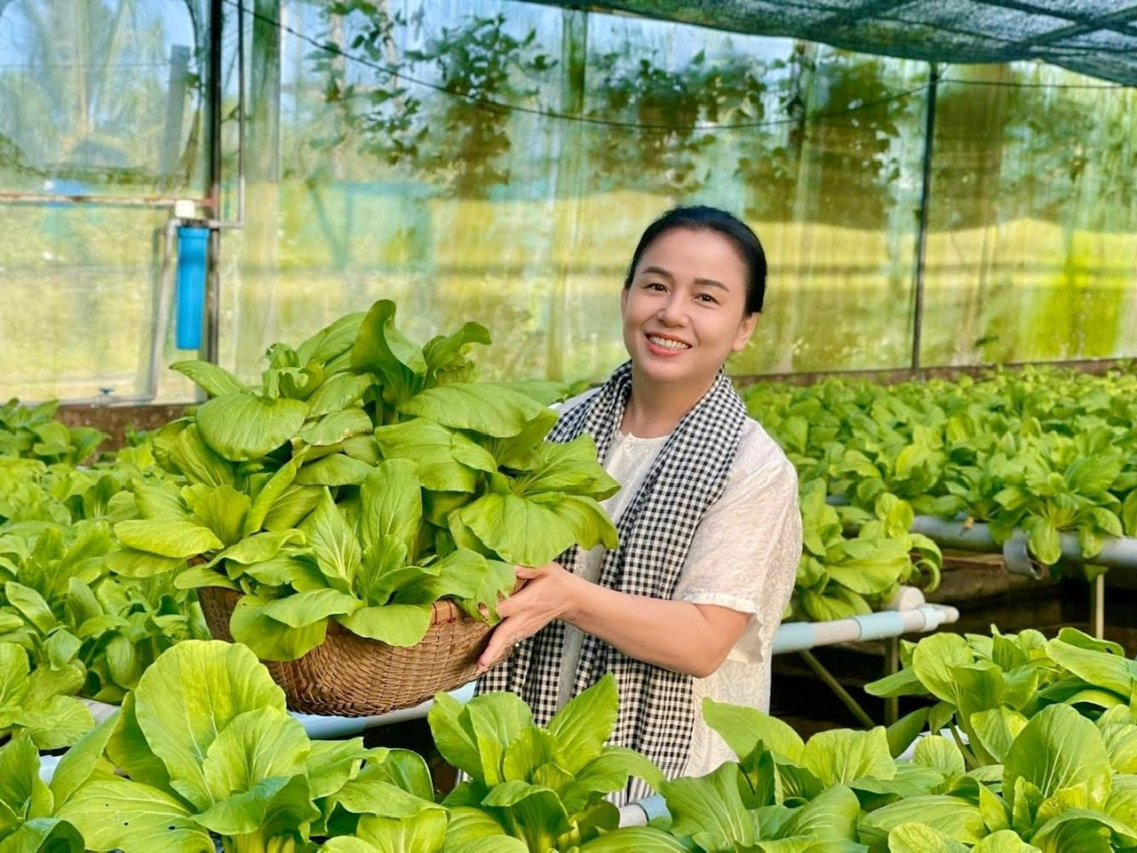 Phát triển nông nghiệp hữu cơ gắn với bảo vệ môi trường Phát triển nông nghiệp hữu cơ gắn với bảo vệ môi trường