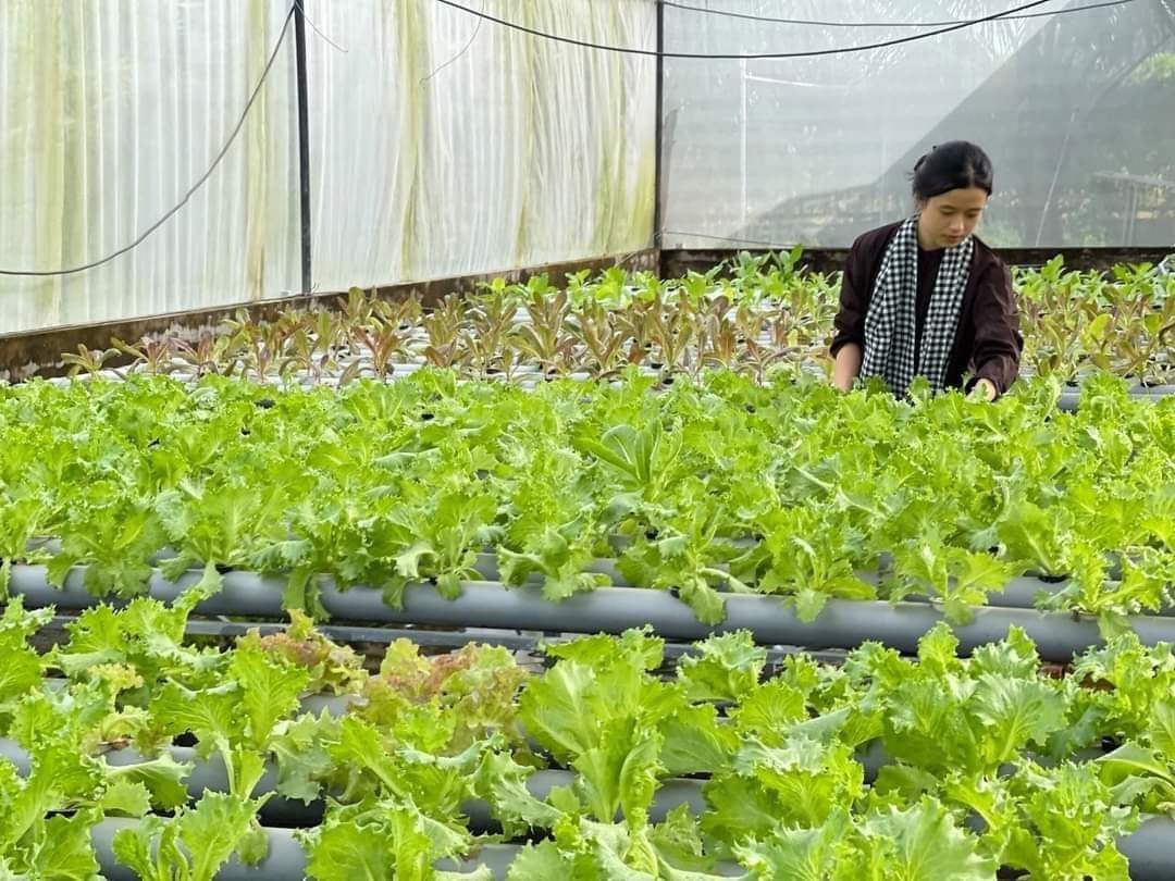 Phát triển nông nghiệp hữu cơ gắn với bảo vệ môi trường Phát triển nông nghiệp hữu cơ gắn với bảo vệ môi trường