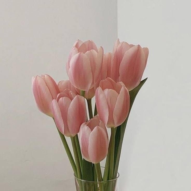 Tử vi 12 con giáp ngày 21/3/2024: Tuổi Tuất gặp khó khăn, tuổi Sửu khá thuận lợi Tử vi 12 con giáp ngày 21/3/2024: Tuổi Tuất gặp khó khăn, tuổi Sửu khá thuận lợi