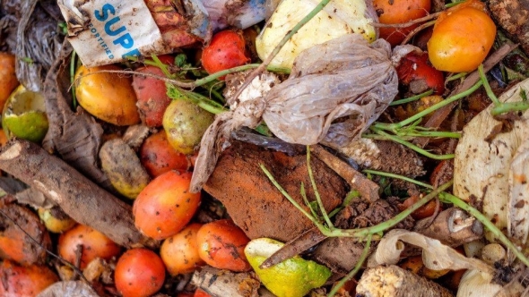 Lãng phí thực phẩm làm trầm trọng thêm biến đổi khí hậu