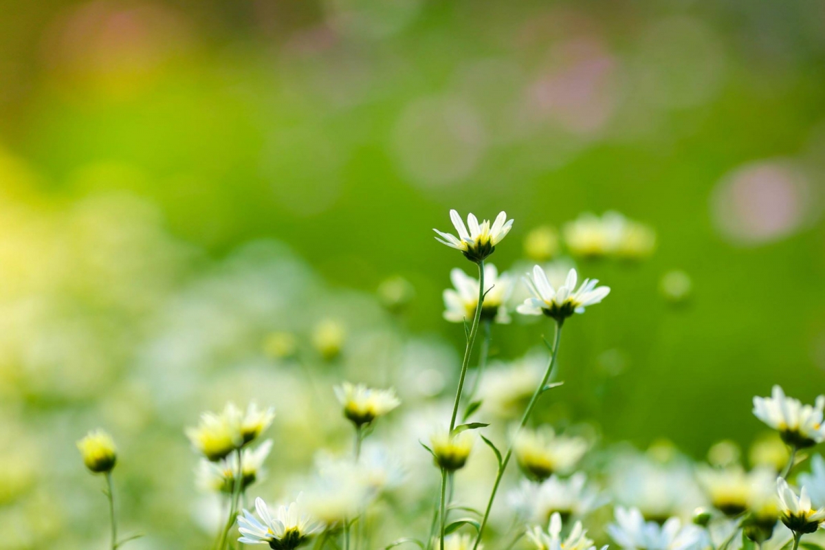 Tử vi vòng quay công nghệ ngày 1/3/2025: Tuổi Thân nhận nhiều tin vui, tuổi Mão gặp phải rắc rối Tử vi vòng quay công nghệ ngày 1/3/2025: Tuổi Thân nhận nhiều tin vui, tuổi Mão gặp phải rắc rối