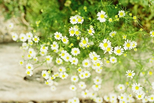 Tử vi vòng quay công nghệ ngày 1/3/2025: Tuổi Thân nhận nhiều tin vui, tuổi Mão gặp phải rắc rối Tử vi vòng quay công nghệ ngày 1/3/2025: Tuổi Thân nhận nhiều tin vui, tuổi Mão gặp phải rắc rối