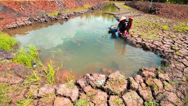 TP HCM lên phương án ứng phó xâm nhập mặn cao điểm