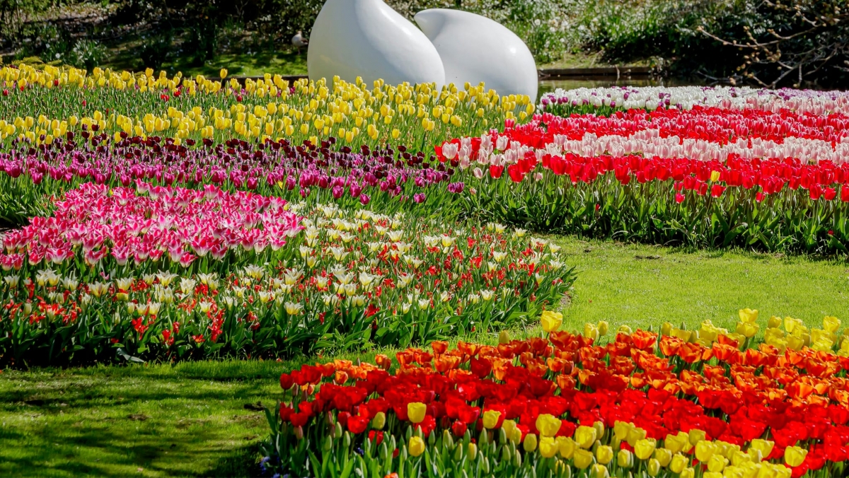 Tử vi vòng quay công nghệ ngày 8/3/2025: Tuổi Tý phúc lộc dồi dào, tuổi Thân gặp trục trặc Tử vi vòng quay công nghệ ngày 8/3/2025: Tuổi Tý phúc lộc dồi dào, tuổi Thân gặp trục trặc