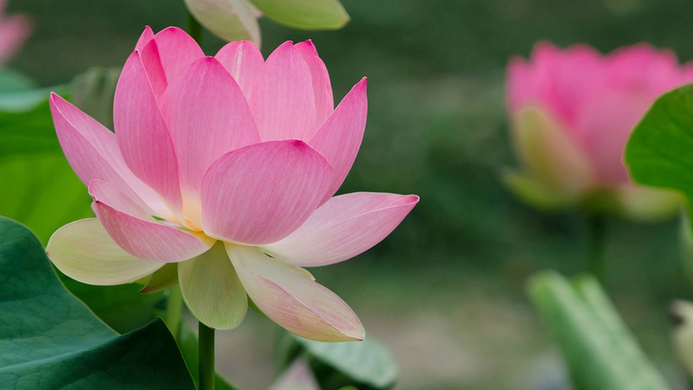 Tử vi vòng quay công nghệ ngày 9/3/2025: Tuổi Sửu gặp nhiều may mắn, tuổi Tỵ cần phải cẩn trọng Tử vi vòng quay công nghệ ngày 9/3/2025: Tuổi Sửu gặp nhiều may mắn, tuổi Tỵ cần phải cẩn trọng