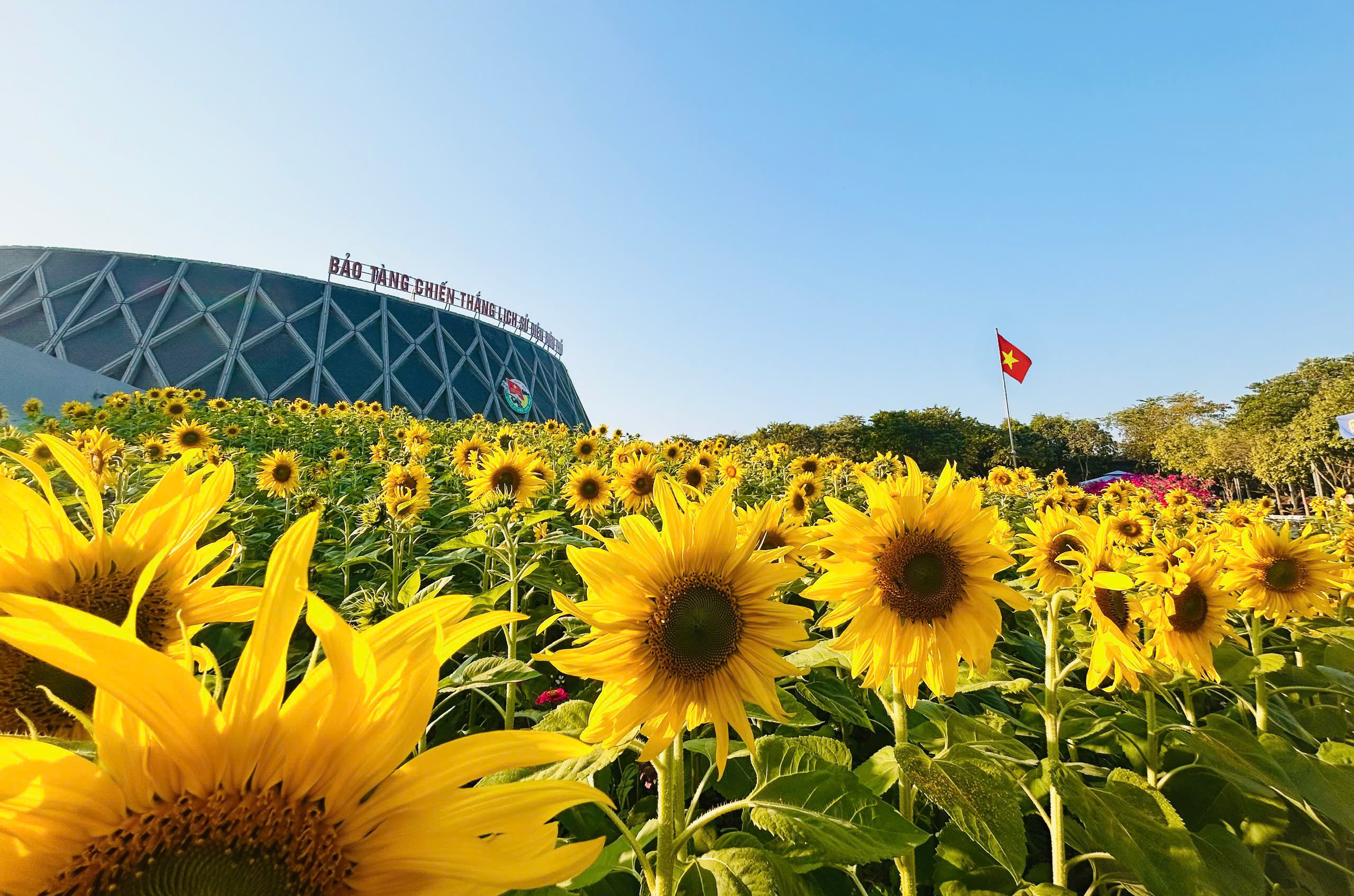 Khởi động du lịch mùa hoa ban Khởi động du lịch mùa hoa ban