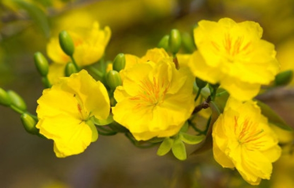 Tử vi vòng quay công nghệ ngày 11/3/2025: Tuổi Tý gặp nhiều khúc mắc, tuổi Thìn luôn giữ được tinh thần lạc quan Tử vi vòng quay công nghệ ngày 11/3/2025: Tuổi Tý gặp nhiều khúc mắc, tuổi Thìn luôn giữ được tinh thần lạc quan