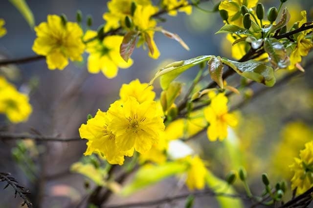 Tử vi vòng quay công nghệ ngày 11/3/2025: Tuổi Tý gặp nhiều khúc mắc, tuổi Thìn luôn giữ được tinh thần lạc quan Tử vi vòng quay công nghệ ngày 11/3/2025: Tuổi Tý gặp nhiều khúc mắc, tuổi Thìn luôn giữ được tinh thần lạc quan