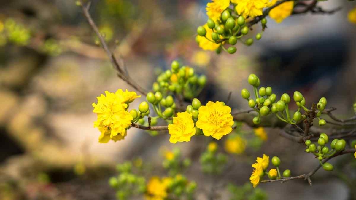 Tử vi vòng quay công nghệ ngày 11/3/2025: Tuổi Tý gặp nhiều khúc mắc, tuổi Thìn luôn giữ được tinh thần lạc quan Tử vi vòng quay công nghệ ngày 11/3/2025: Tuổi Tý gặp nhiều khúc mắc, tuổi Thìn luôn giữ được tinh thần lạc quan