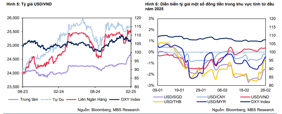 Động thái mới của NHNN trong bối cảnh tỷ giá biến động Động thái mới của NHNN trong bối cảnh tỷ giá biến động