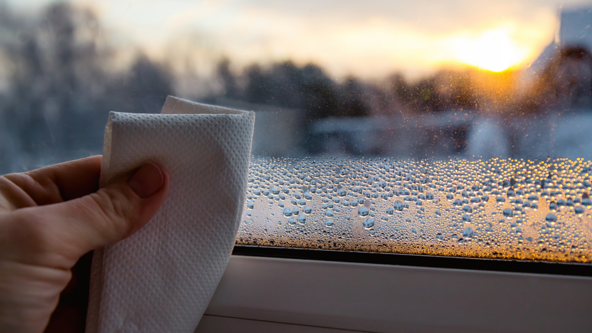 Khi nào nồm ẩm quay trở lại miền Bắc? Khi nào nồm ẩm quay trở lại miền Bắc?