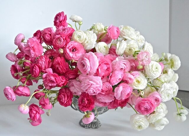 Tử vi vòng quay công nghệ ngày 20/3/2025: Tuổi Mão thiếu tự tin , tuổi Mùi tin vui tình cảm Tử vi vòng quay công nghệ ngày 20/3/2025: Tuổi Mão thiếu tự tin , tuổi Mùi tin vui tình cảm