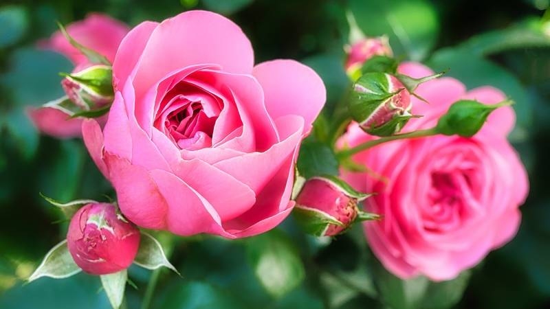 Tử vi vòng quay công nghệ ngày 21/3/2025: Tử vi vòng quay công nghệ ngày 21/3/2025: