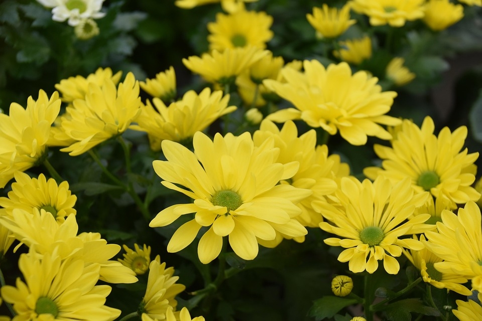 Tử vi vòng quay công nghệ ngày 23/3/2025: Tuổi Hợi đón chút tài lộc, tuổi Thìn gặp xui rủi Tử vi vòng quay công nghệ ngày 23/3/2025: Tuổi Hợi đón chút tài lộc, tuổi Thìn gặp xui rủi