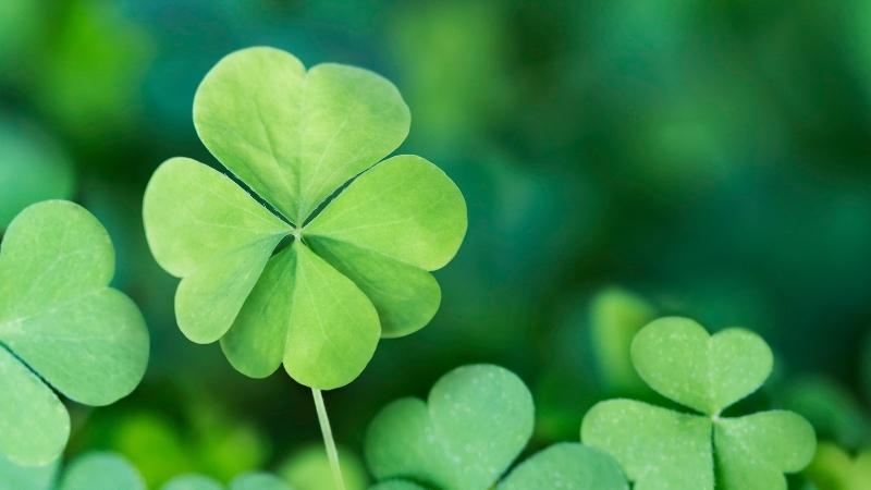 Tử vi vòng quay công nghệ ngày 25/3/2025: Tuổi Tỵ nhiều may mắn, tuổi Mùi gặp sóng gió Tử vi vòng quay công nghệ ngày 25/3/2025: Tuổi Tỵ nhiều may mắn, tuổi Mùi gặp sóng gió