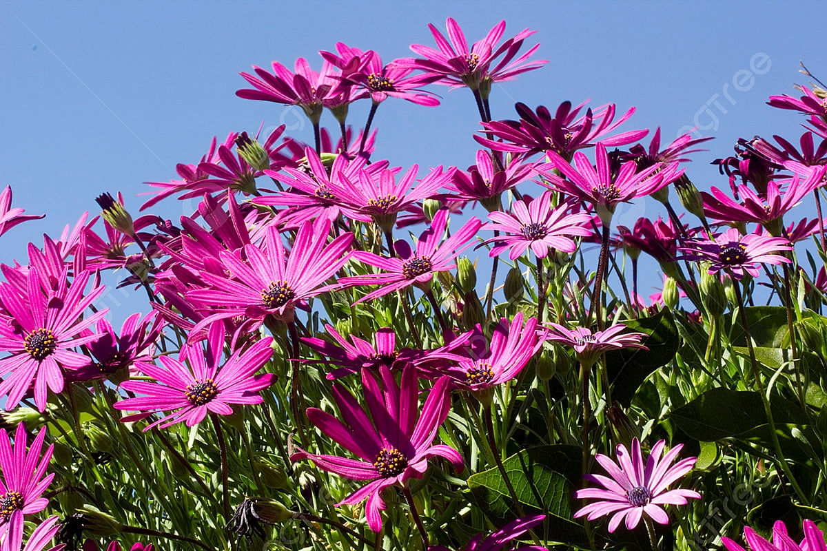 Tử vi vòng quay công nghệ ngày 26/3/2025: Tuổi Dậu tin vui tài lộc, tuổi Tuất kìm chế cảm xúc Tử vi vòng quay công nghệ ngày 26/3/2025: Tuổi Dậu tin vui tài lộc, tuổi Tuất kìm chế cảm xúc