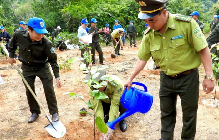Ban Quản lý rừng đặc dụng Đà Nẵng ra quân trồng cây dịp đầu Xuân Bính Ngọ
