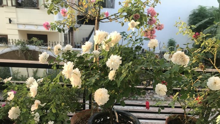 Tử vi vòng quay công nghệ ngày 2/3/2026: Tuổi Ngọ gặp nhiều may mắn, tuổi Mùi xảy ra mâu thuẫn