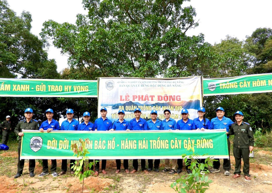Ban Quản lý rừng đặc dụng Đà Nẵng ra quân trồng cây dịp đầu Xuân Bính Ngọ