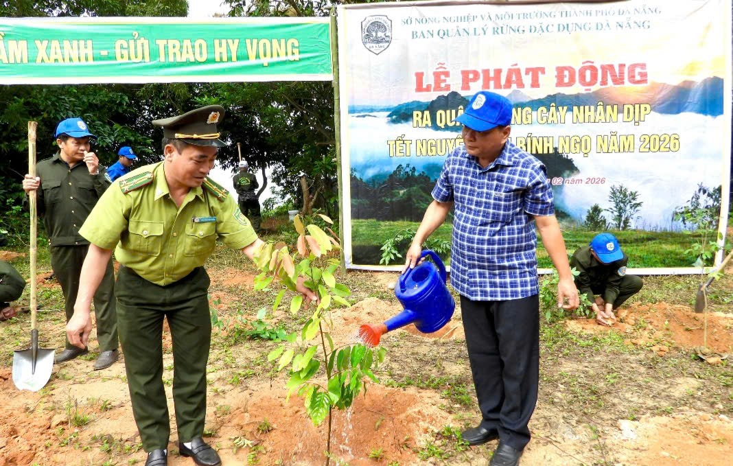 Ban Quản lý rừng đặc dụng Đà Nẵng ra quân trồng cây dịp đầu Xuân Bính Ngọ