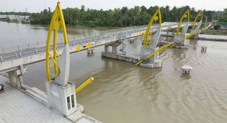 Vĩnh Long cấp bách triển khai các biện pháp ứng phó xâm nhập mặn