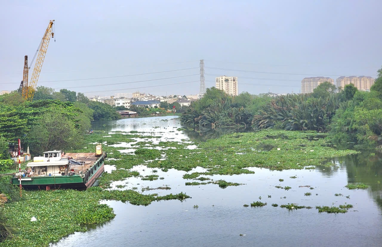 TP. HCM nghiên cứu lắp đặt hệ thống ngăn lục bình, rác thải tại đầu nguồn sông, kênh