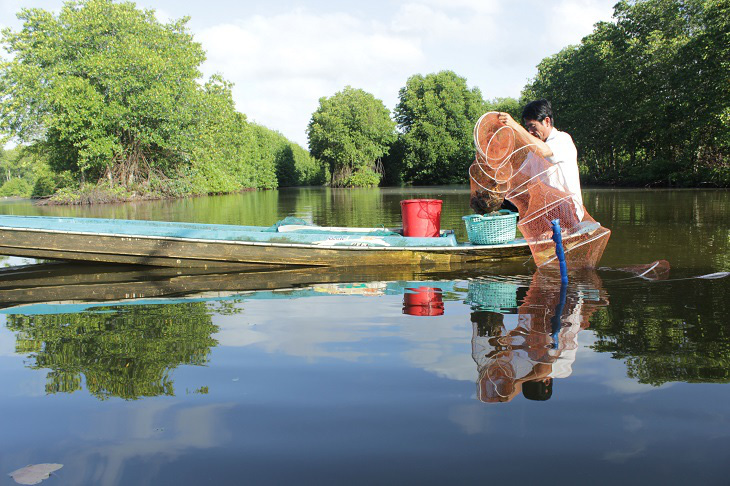 Cà Mau tăng cường kiểm soát, ngăn ngừa ô nhiễm môi trường trong nuôi trồng thủy sản
