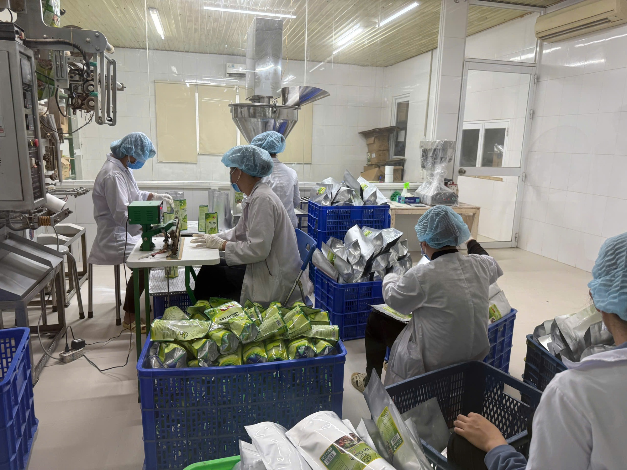 Xuất khẩu nông lâm thủy sản: Nhiều ngành hàng tăng tốc