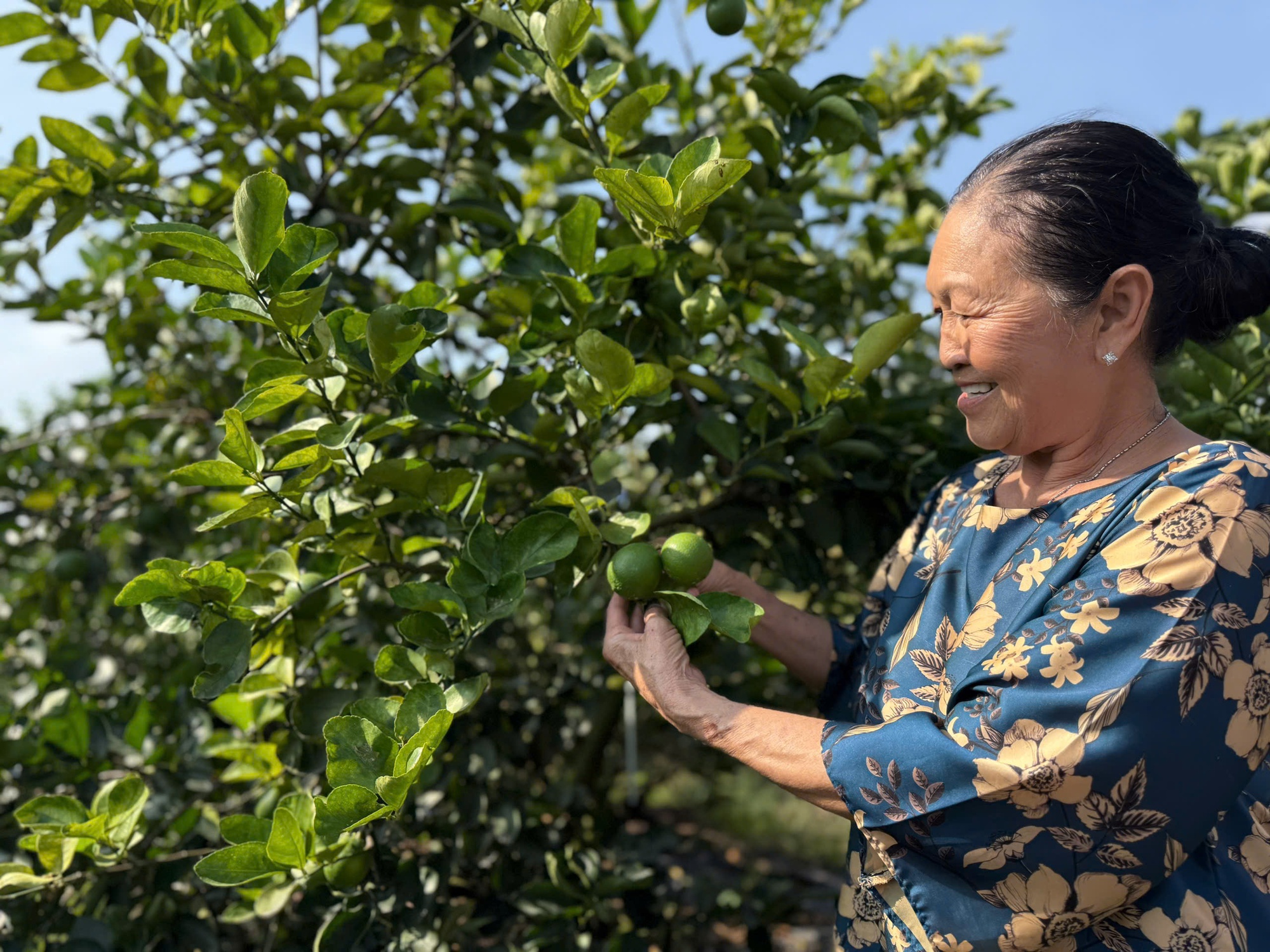 Xuất khẩu nông lâm thủy sản: Nhiều ngành hàng tăng tốc