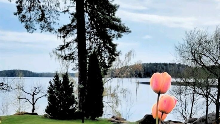 Tử vi vòng quay công nghệ ngày 6/3/2026: Tuổi Dậu ngày càng thăng hoa, tuổi Sửu tình duyên sa sút