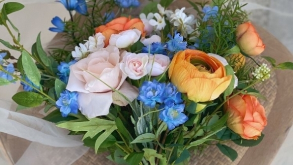 Tử vi vòng quay công nghệ ngày 11/3/2026: Tuổi Ngọ trời cho lộc, tuổi Hợi khá sa sút