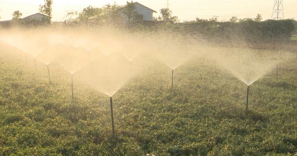 Phát triển nông nghiệp công nghệ cao gắn bảo vệ môi trường theo Luật Thủ đô (sửa đổi)