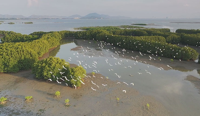 Phát hiện, xử lý gần 2.000 vụ vi phạm liên quan đến đa dạng sinh học chỉ trong hơn 4 tháng