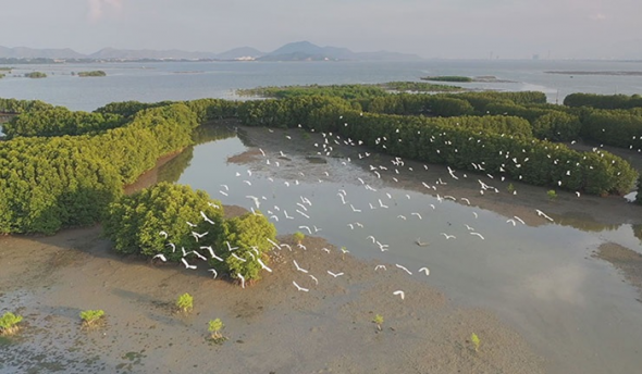 Phát hiện, xử lý gần 2.000 vụ vi phạm liên quan đến đa dạng sinh học chỉ trong hơn 4 tháng