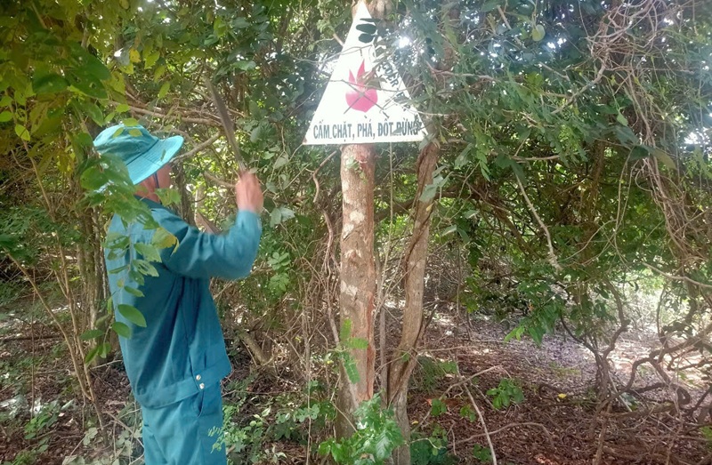 Lâm Đồng rà soát các khu vực rừng trọng điểm có nguy cơ cháy cao