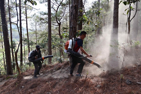 Lâm Đồng rà soát các khu vực rừng trọng điểm có nguy cơ cháy cao