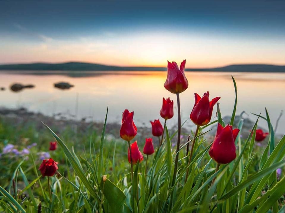 Tử vi vòng quay công nghệ ngày 26/3/2026: Tuổi Tuất ngày hạnh phúc, tuổi Hợi cần nghỉ nghơi Tử vi vòng quay công nghệ ngày 26/3/2026: Tuổi Tuất ngày hạnh phúc, tuổi Hợi cần nghỉ nghơi