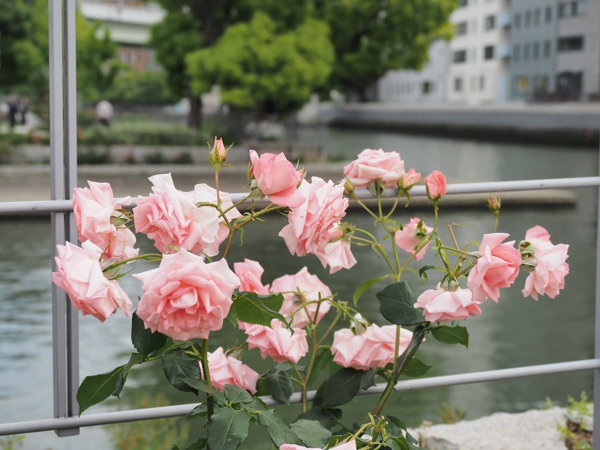 Tử vi vòng quay công nghệ ngày 27/3/2026: Tuổi Mùi gặp tranh chấp, tuổi Dậu nhiều lời khen Tử vi vòng quay công nghệ ngày 27/3/2026: Tuổi Mùi gặp tranh chấp, tuổi Dậu nhiều lời khen