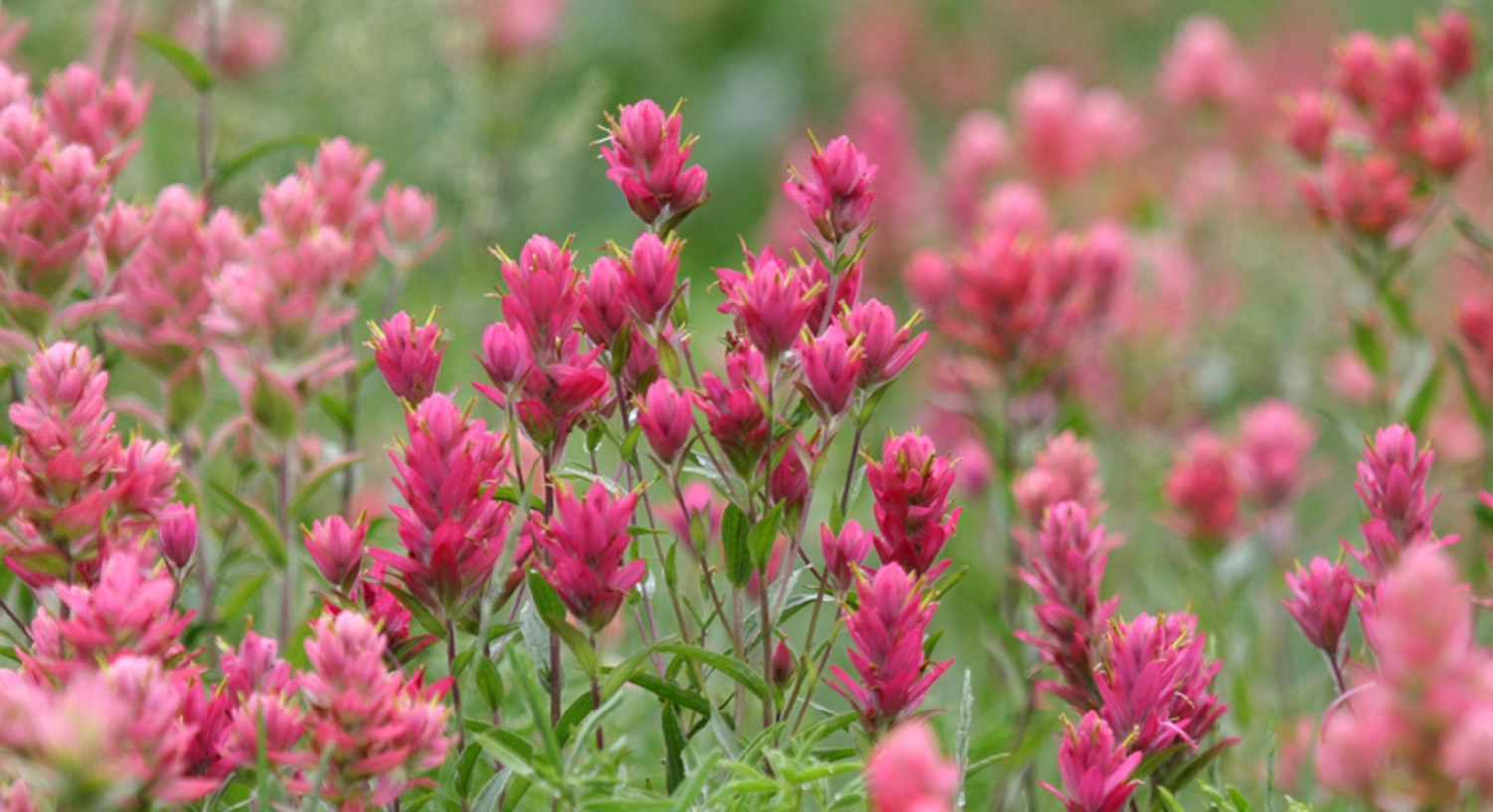 Tử vi ngày 5/4/2023: Tuổi Dần hết sức cẩn thận, tuổi Mão nhận nhiều may mắn Tử vi ngày 5/4/2023: Tuổi Dần hết sức cẩn thận, tuổi Mão nhận nhiều may mắn