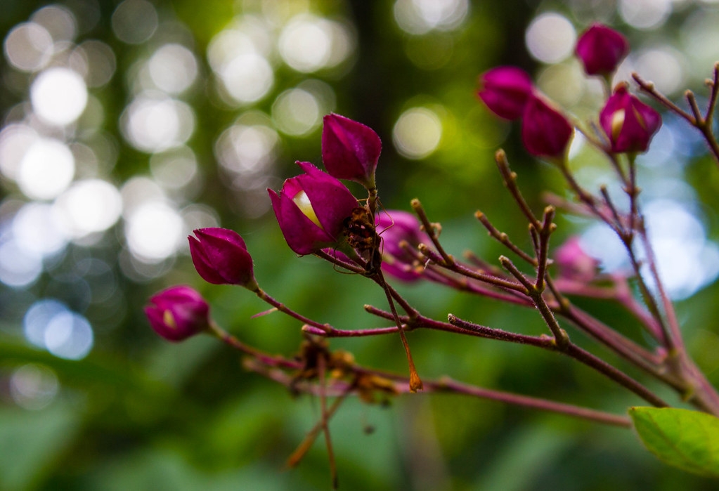 Tử vi ngày 5/4/2023: Tuổi Dần hết sức cẩn thận, tuổi Mão nhận nhiều may mắn Tử vi ngày 5/4/2023: Tuổi Dần hết sức cẩn thận, tuổi Mão nhận nhiều may mắn