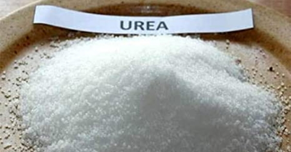 Giá phân bón hôm nay 9/4: Urê phục hồi nhẹ