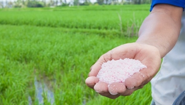 Giá phân bón hôm nay 16/4: Urê phục hồi trở lại