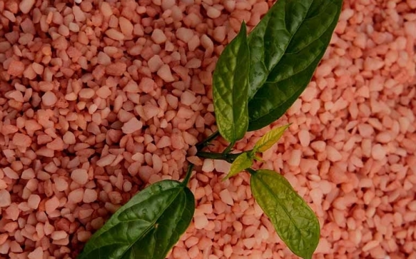 Giá phân bón hôm nay 17/4: Kali giảm