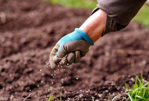 Giá phân bón hôm nay 20/4: Giao dịch Kali tạm chững