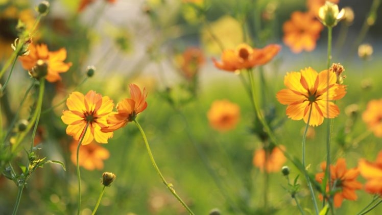 Tử vi ngày 22/4/2023: Tuổi Dần chớ có tự mãn, tuổi Mùi dễ thành nhu nhược Tử vi ngày 22/4/2023: Tuổi Dần chớ có tự mãn, tuổi Mùi dễ thành nhu nhược