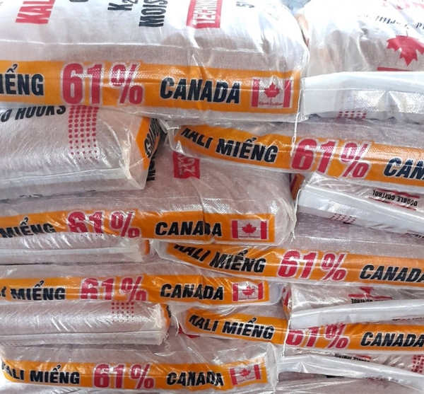 Giá phân bón hôm nay 27/4: Giao dịch ổn định Giá phân bón hôm nay 27/4: Giao dịch ổn định