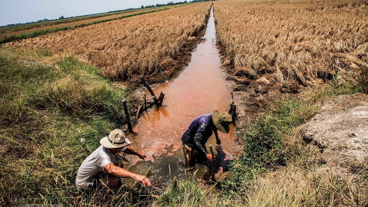 Thủ tướng chỉ thị tăng cường phòng, chống nắng nóng, hạn hán, thiếu nước, xâm nhập mặn
