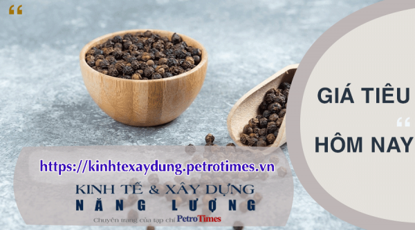 Giá tiêu hôm nay 6/4: Giảm tại Gia Lai và Bà Rịa - Vũng Tàu Giá tiêu hôm nay 6/4: Giảm tại Gia Lai và Bà Rịa - Vũng Tàu