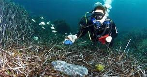 Khoảng 11 triệu tấn rác thải nhựa gây ô nhiễm đang nằm sâu dưới đáy biển Khoảng 11 triệu tấn rác thải nhựa gây ô nhiễm đang nằm sâu dưới đáy biển